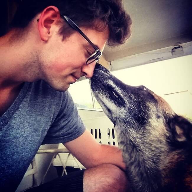 18. This dog used to work in prisons to help sniff out drugs until its retirement