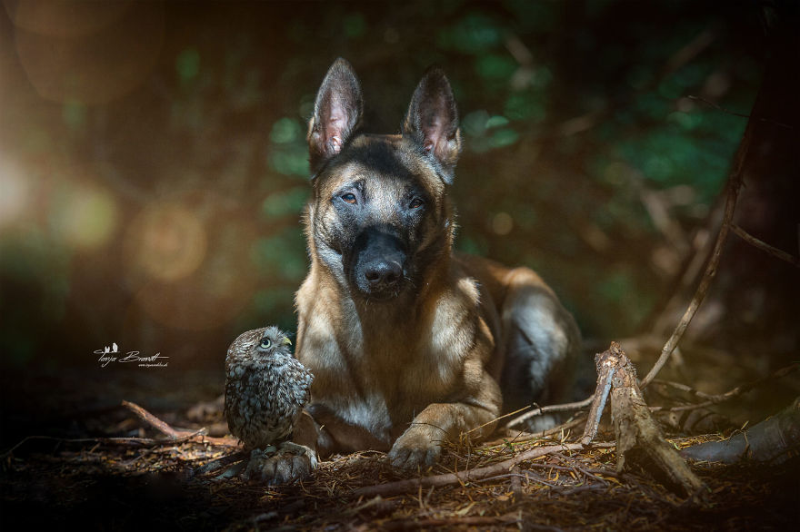18. A regal Ingo poses for the photo with a seemingly mesmerized Poldi