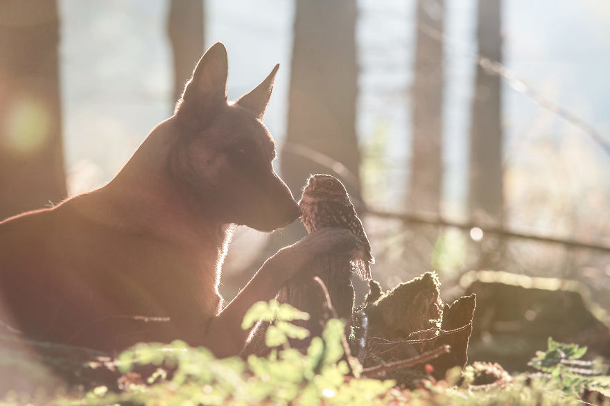 19. A peaceful sunny afternoon with Ingo and Poldi