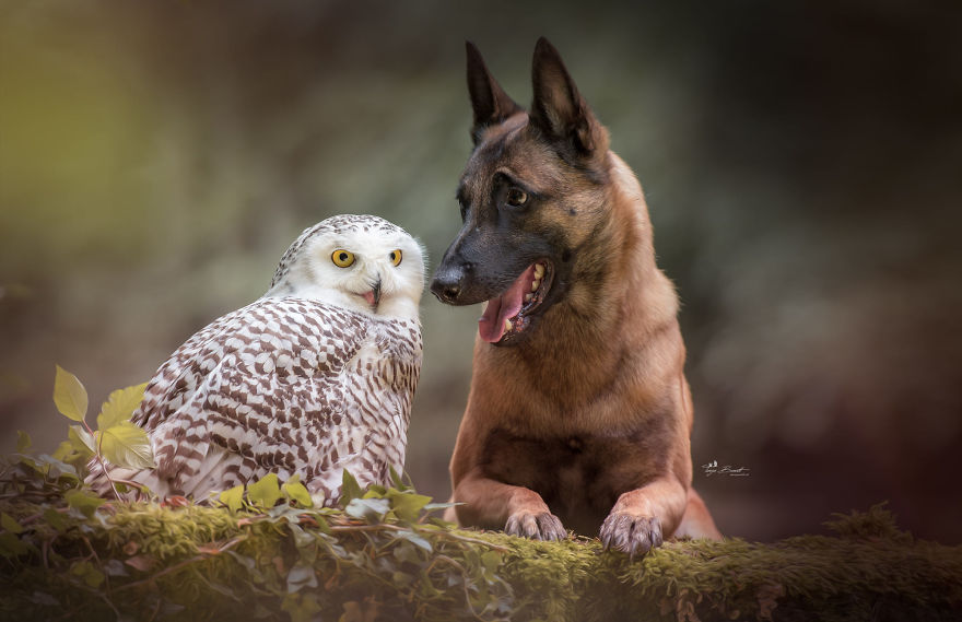 22. Ingo is ignored in favor of the camera by his feathery friend.