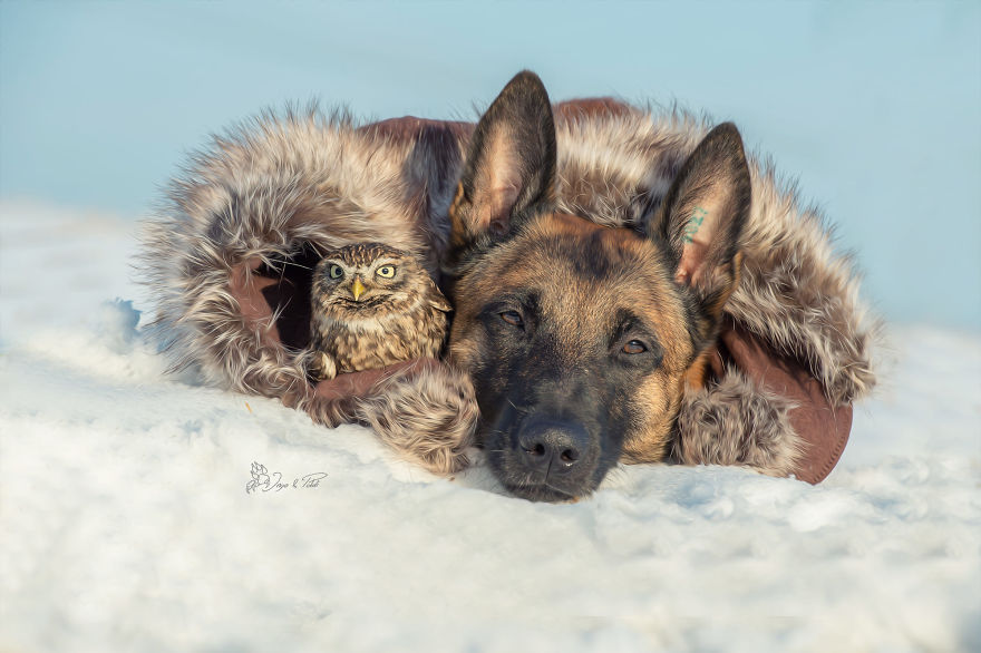 26. Poldi and Ingo snuggle up together inside a coat to stay warm in the freezing snow