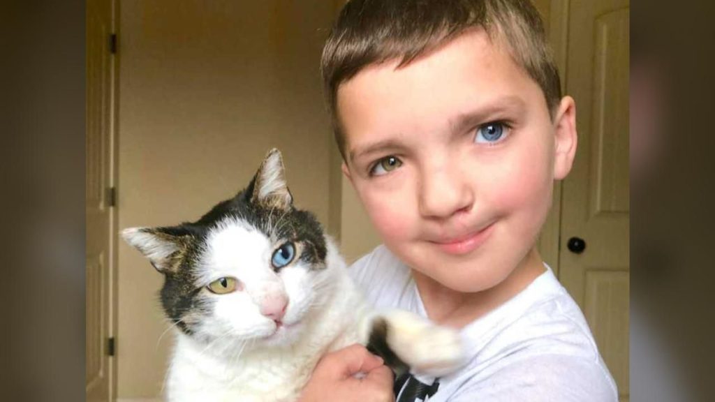 Bullied Boy Adopts Rescue Cat with Same Rare Eye Condition and Cleft Lip - 1