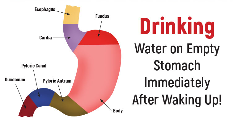 Drink Water On Empty Stomach Immediately After Waking Up