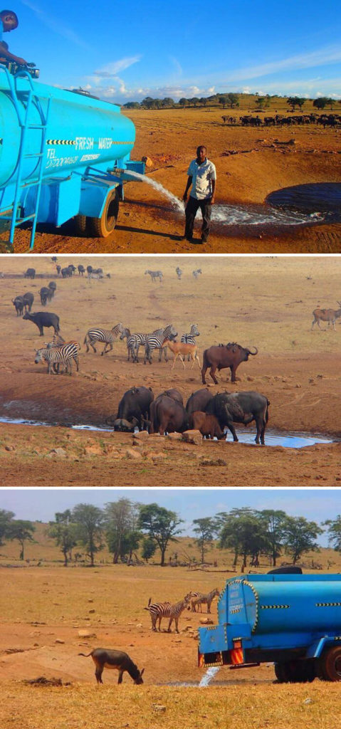 Every Day This Man Drives Hours In Drought To Provide Water To Thirsty Wild Animals