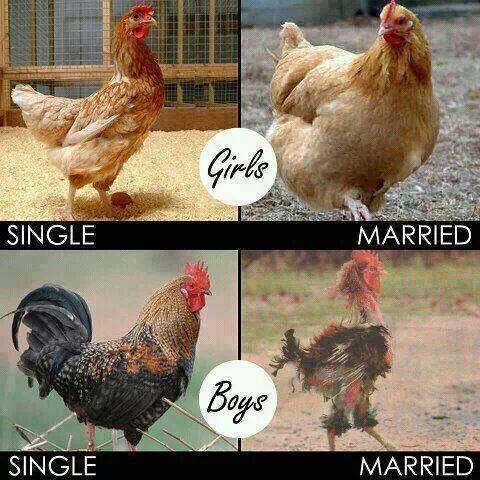 Single Vs Being Married-6