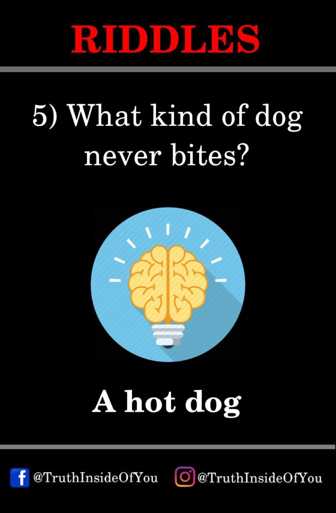 5. What kind of dog never bites