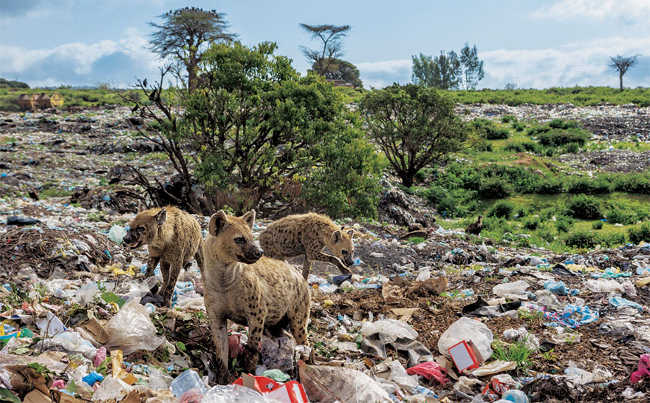10 - Look Inside This National Geographic Magazine to Know the Horrifying Truth Behind It