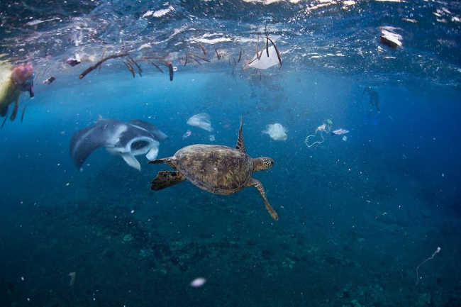 12 - Look Inside This National Geographic Magazine to Know the Horrifying Truth Behind It