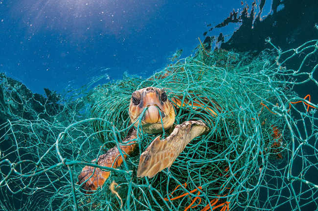 6 - Look Inside This National Geographic Magazine to Know the Horrifying Truth Behind It