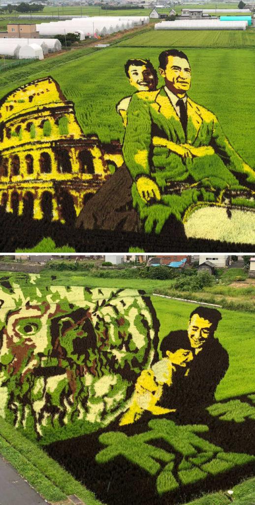 6. Rice Paddy Art