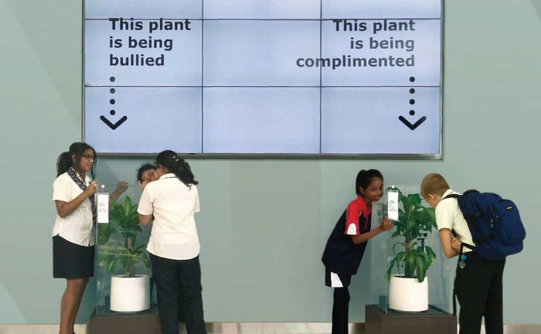Bullying a Plant Brings Out Astonishing Results That Will Make You Think