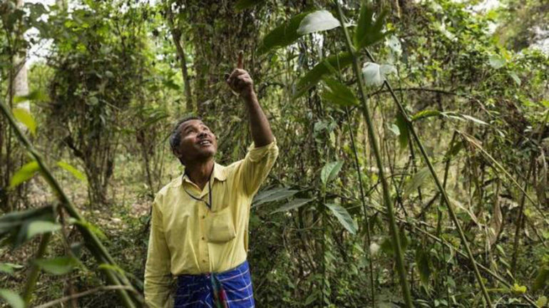 Jadav Payeng - This Man Planted A Tree Every Day For Four Decades