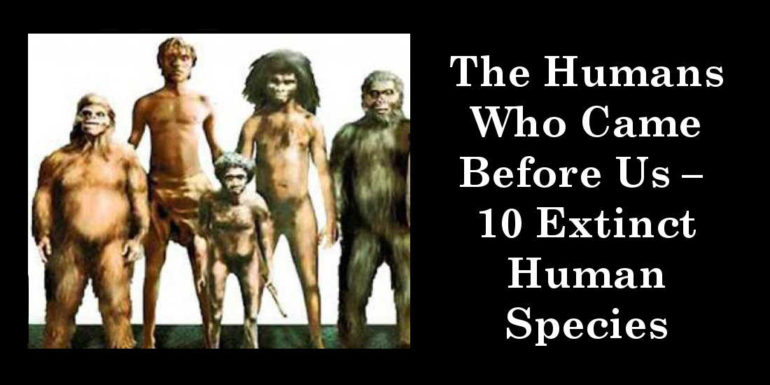 The Humans Who Came Before Us – 10 Extinct Human Species