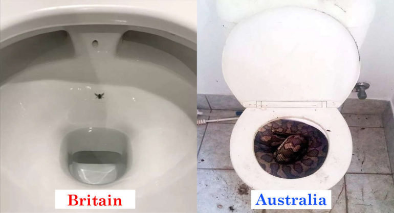 Here Are 10 Bizarre Pictures That Shows The Difference Between Britain And Australia