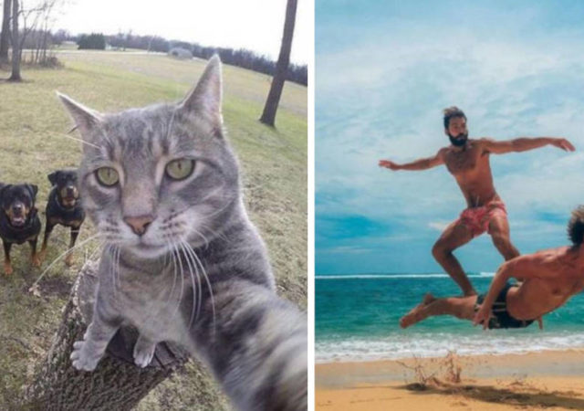 10 Pictures That Were Clicked With Perfect Timing