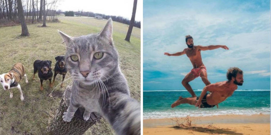 10 Pictures That Were Clicked With Perfect Timing