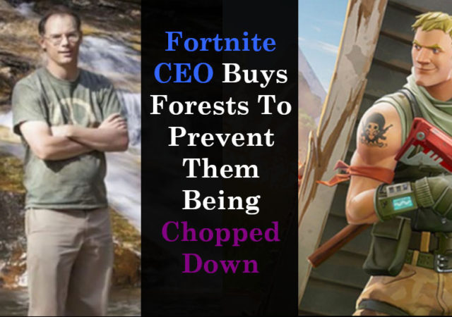 Fortnite CEO Buys Forests To Prevent Them Being Chopped Down