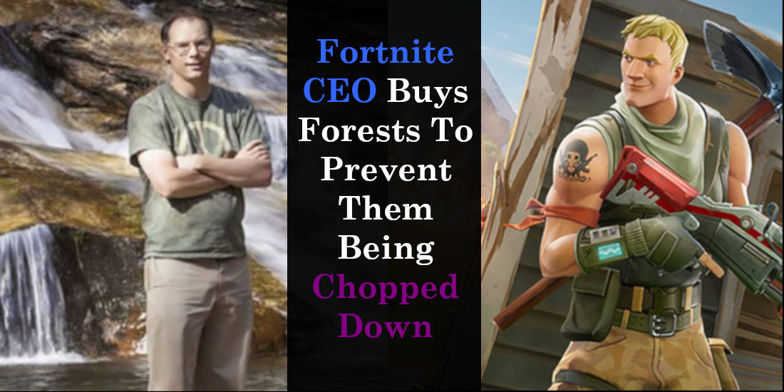 Fortnite CEO Buys Forests To Prevent Them Being Chopped Down