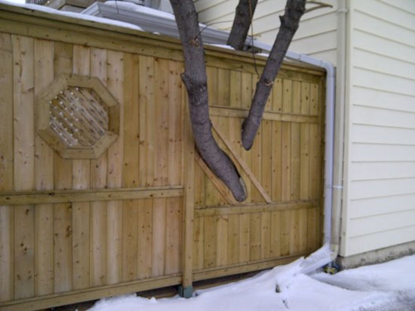 4. The fence with a tree