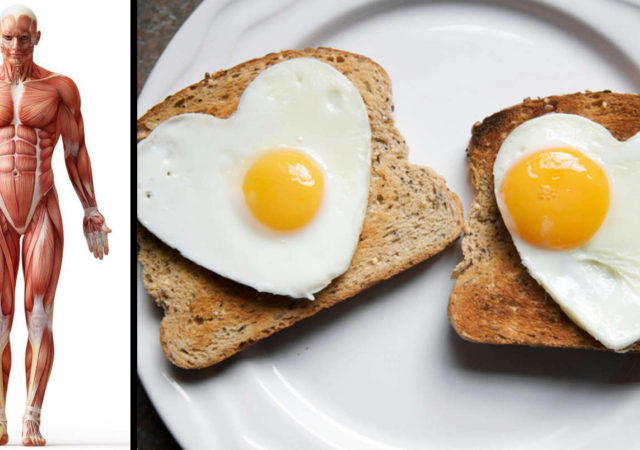 Things That Will Happen to Your Body if You Start Eating 2 Eggs a Day