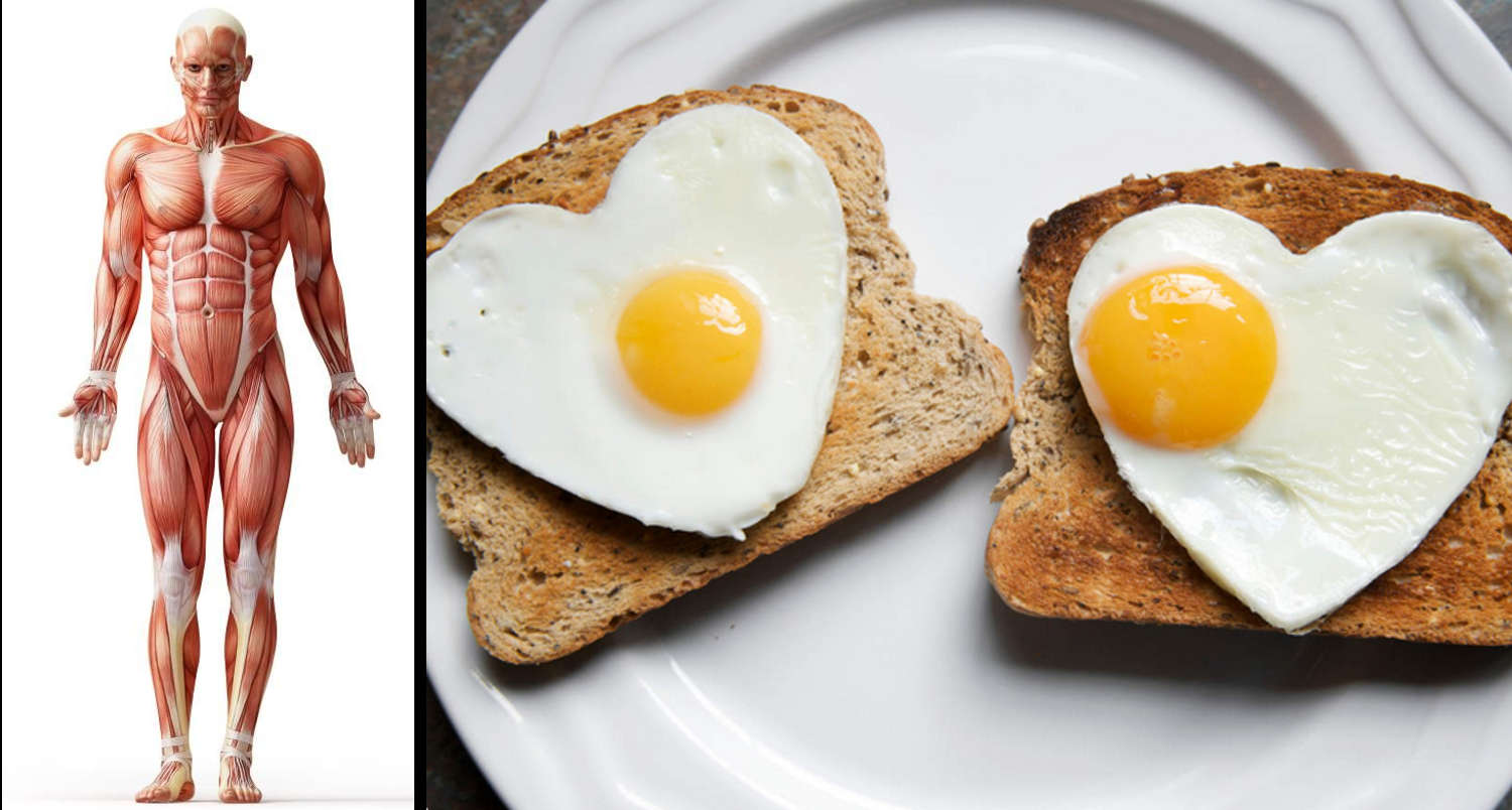 Things That Will Happen to Your Body if You Start Eating 2 Eggs a Day