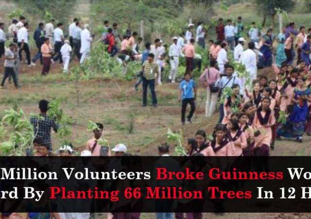 1.5 Million Volunteers Broke Guinness World Record By Planting 66 Million Trees In 12 Hours