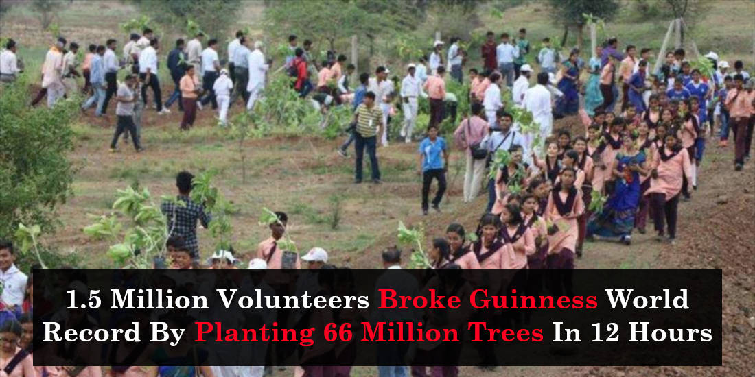 1.5 Million Volunteers Broke Guinness World Record By Planting 66 Million Trees In 12 Hours