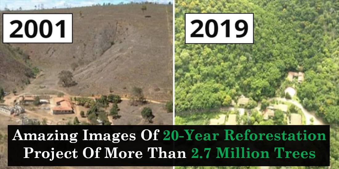 Amazing Images Of 20-Year Reforestation Project Of More Than 2.7 Million Trees