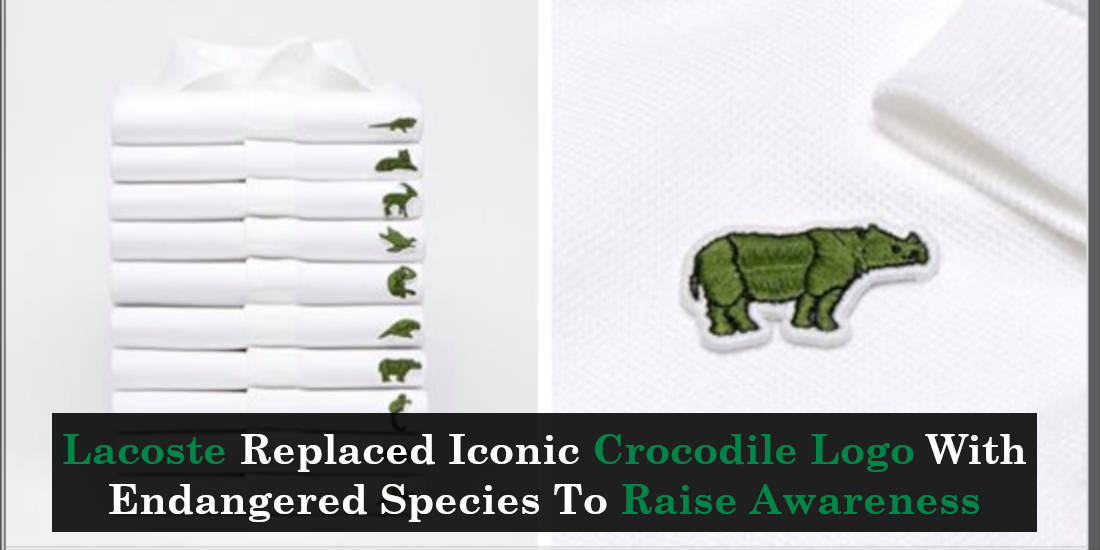the iconic lacoste