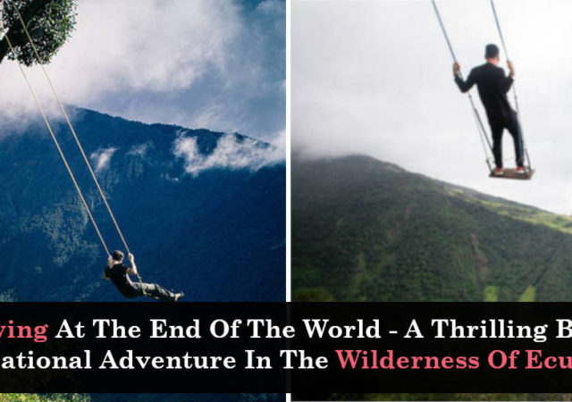 Swing At The End Of The World - A Thrilling But Educational Adventure In The Wilderness Of Ecuador