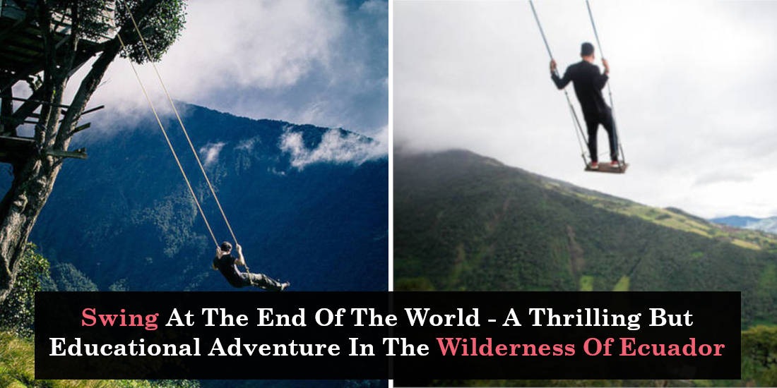 Swing At The End Of The World - A Thrilling But Educational Adventure In The Wilderness Of Ecuador