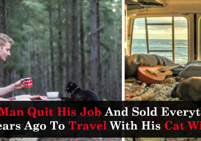 This Man Quit His Job And Sold Everything 3.5 Years Ago To Travel With His Cat Willow