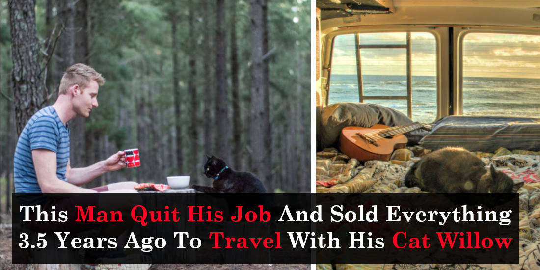 This Man Quit His Job And Sold Everything 3.5 Years Ago To Travel With His Cat Willow