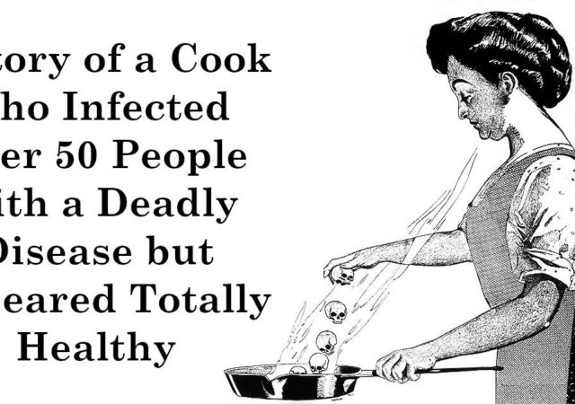 A Story of a Cook Who Infected Over 50 People With a Deadly Disease but Appeared Totally Healthy