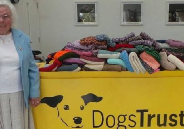 89-Year-Old Woman Knitted 450 Blankets And Dog Coats For Shelter Puppies