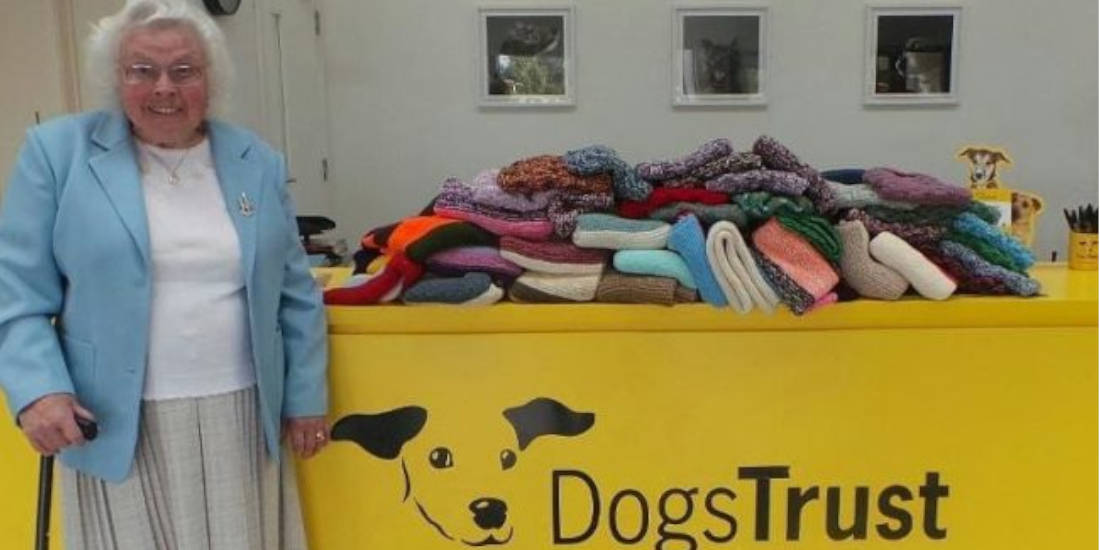 89-Year-Old Woman Knitted 450 Blankets And Dog Coats For Shelter Puppies