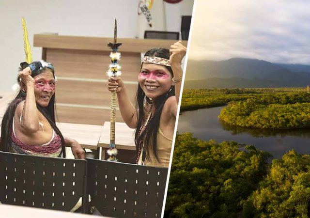 Amazon Tribe Wins Lawsuit Against Big Oil, Saving Millions Of Acres Of Rainforest