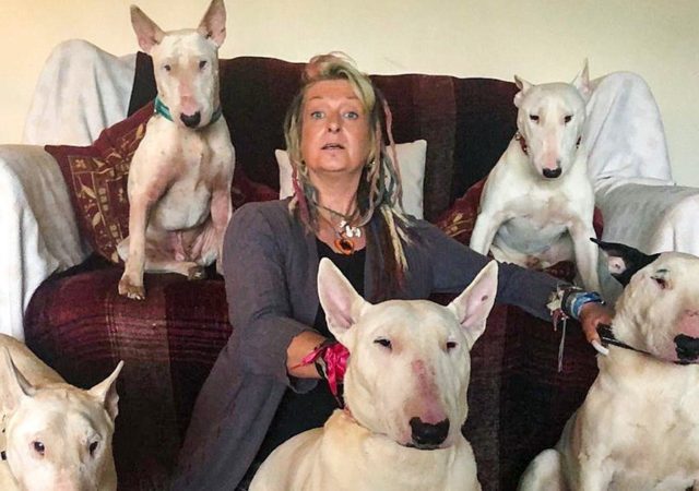 Man Makes His Wife Choose Between Her Dogs And Him, She Decides To Stay With The Dogs