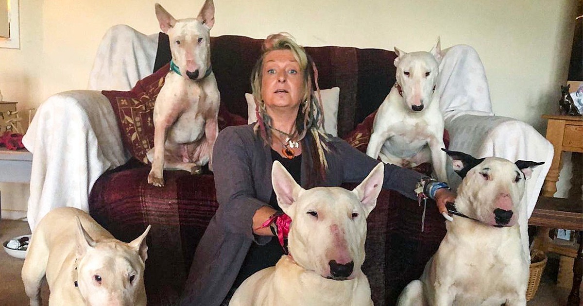 Man Makes His Wife Choose Between Her Dogs And Him, She Decides To Stay With The Dogs