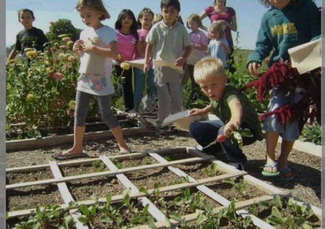 Should Children Be Taught How To Grow Food As Part of Their Schooling?