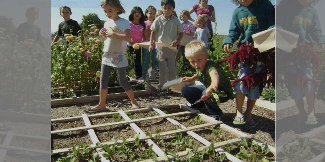 Should Children Be Taught How To Grow Food As Part of Their Schooling?