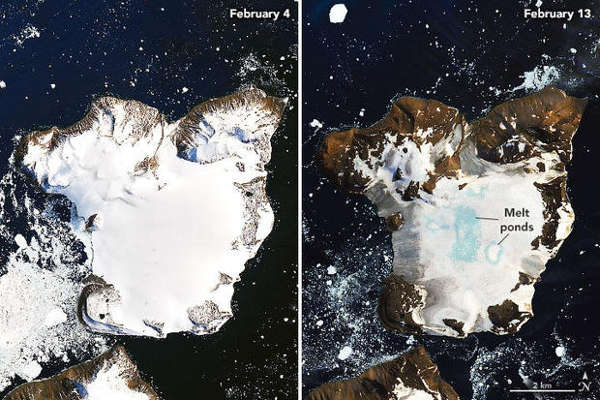 antartica february 4 vs february 13