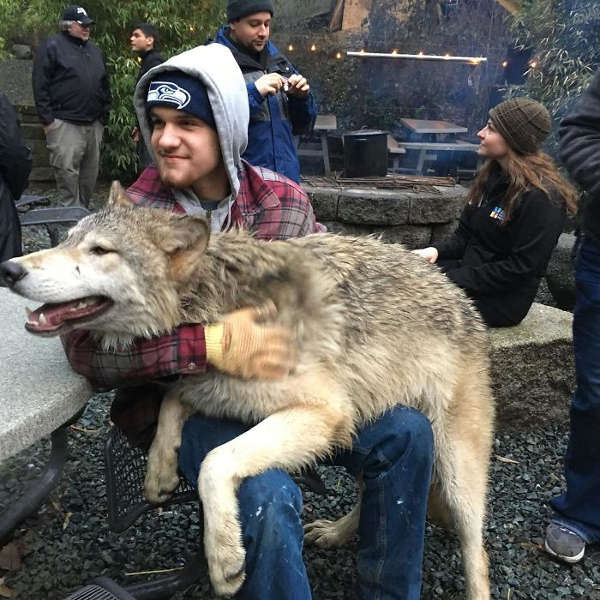 This Island Is Full Of Friendly Wolves And You Can Visit It