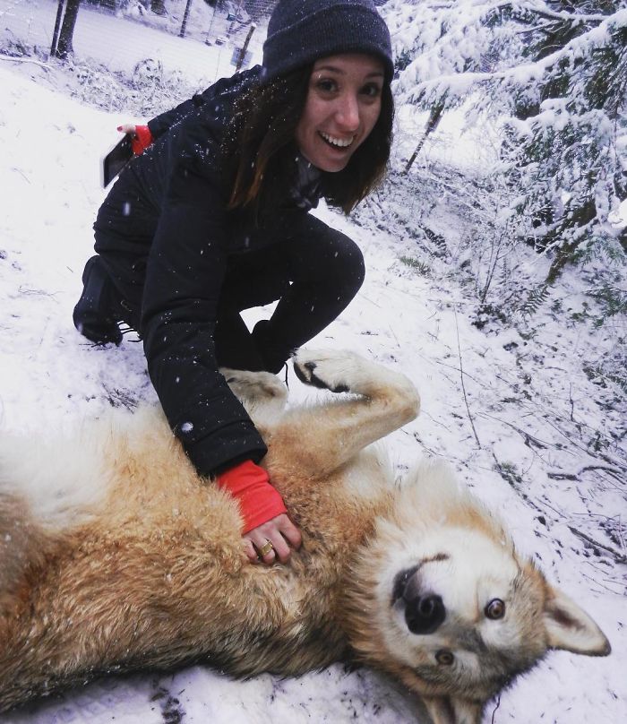 This Island Is Full Of Friendly Wolves And You Can Visit It