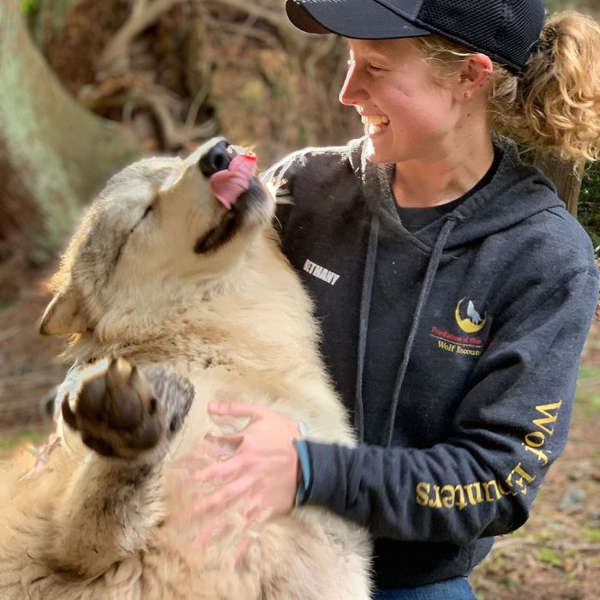 This Island Is Full Of Friendly Wolves And You Can Visit It