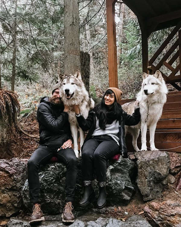 This Island Is Full Of Friendly Wolves And You Can Visit It