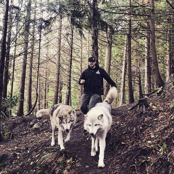 This Island Is Full Of Friendly Wolves And You Can Visit It