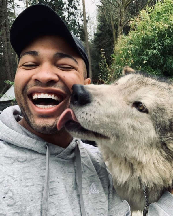 This Island Is Full Of Friendly Wolves And You Can Visit It