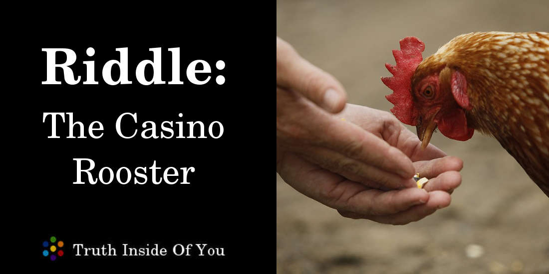 The Casino Rooster featured