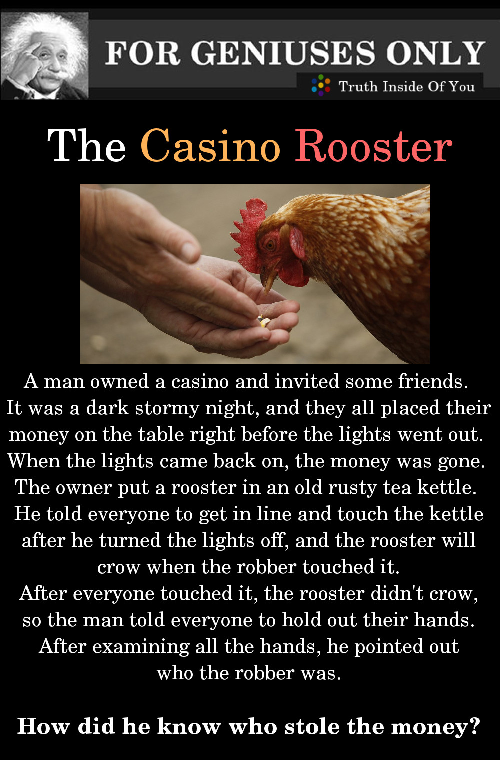 the casino rooster